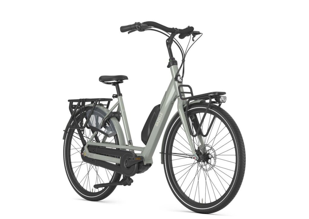 Gazelle Bloom C310 1