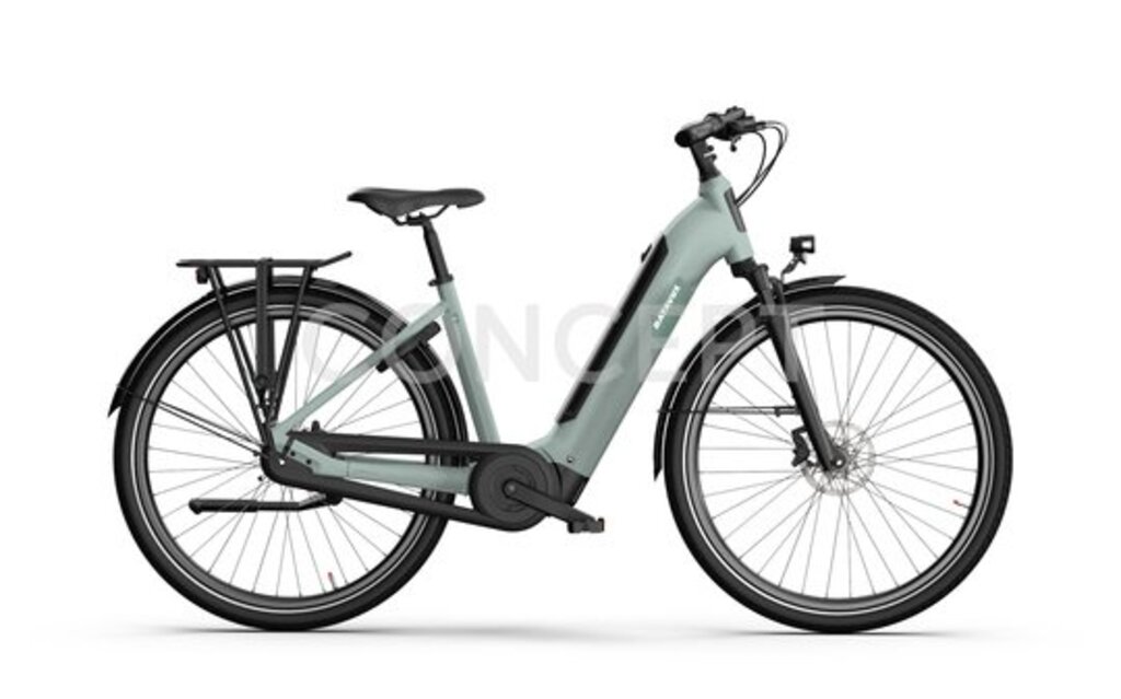 Batavus Altura PT Pro 2026 5